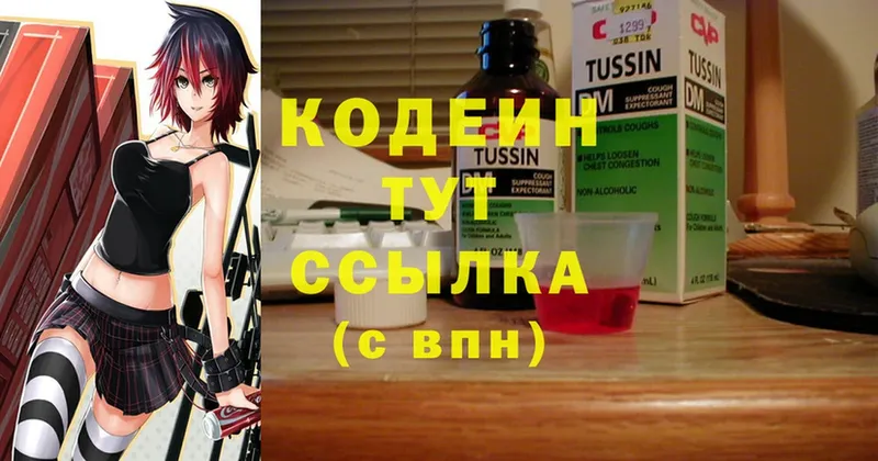 цена наркотик  Волхов  Кодеин Purple Drank 